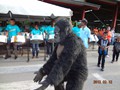 Penal Carnival 2012