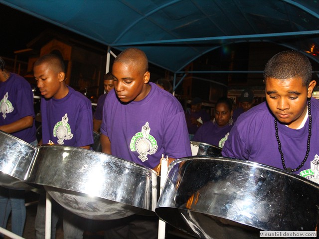Diatonic Steel In Motion 2013