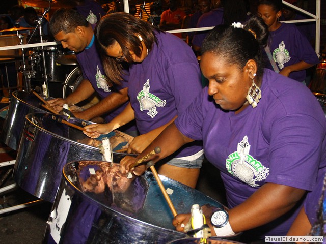 Diatonic Steel In Motion 2013