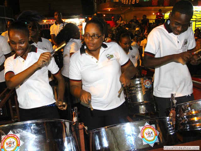 Diatonic Steel In Motion 2013