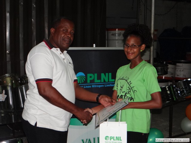 Diatonic Vacation Pan Class 2015